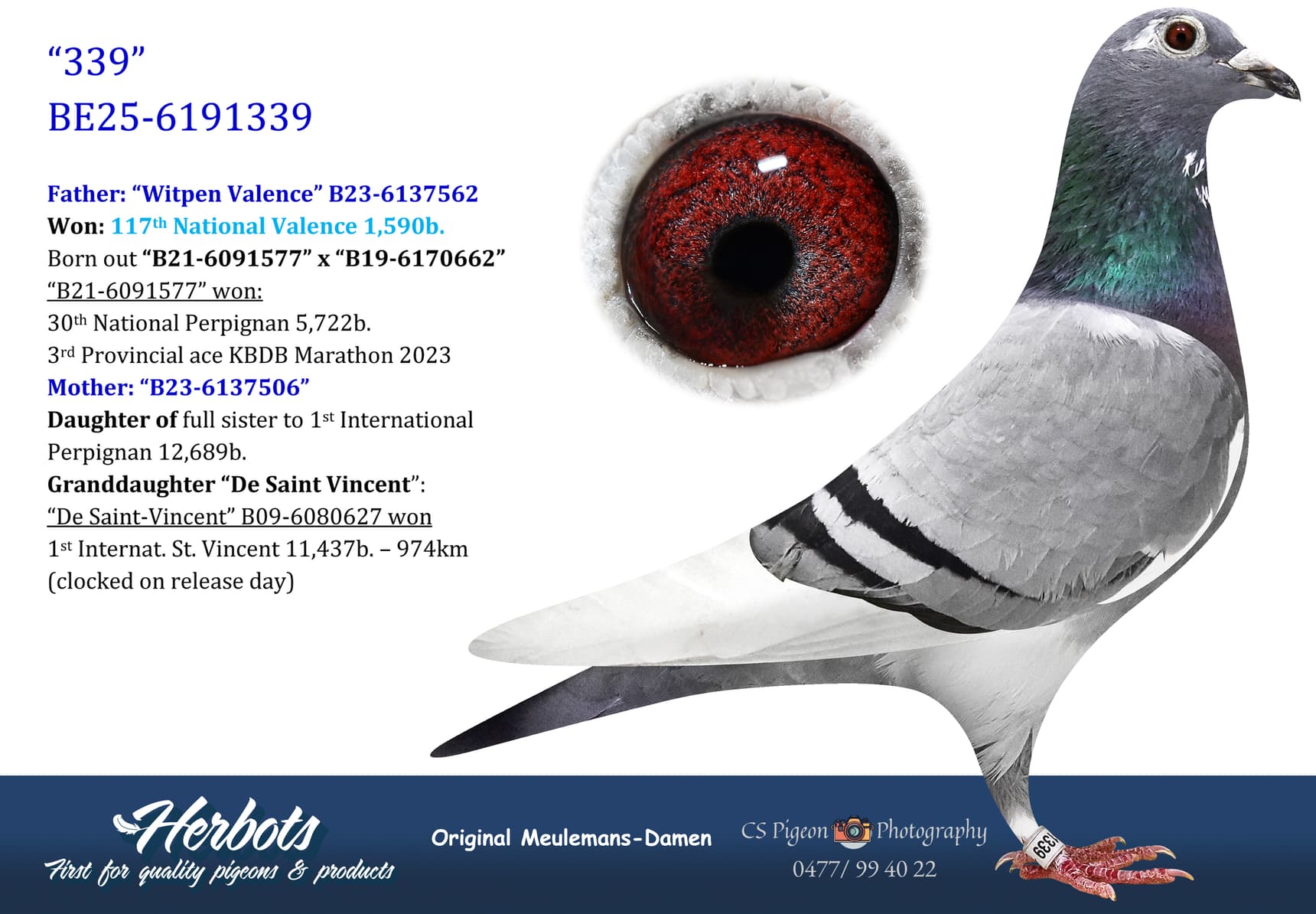 pigeon: undefined