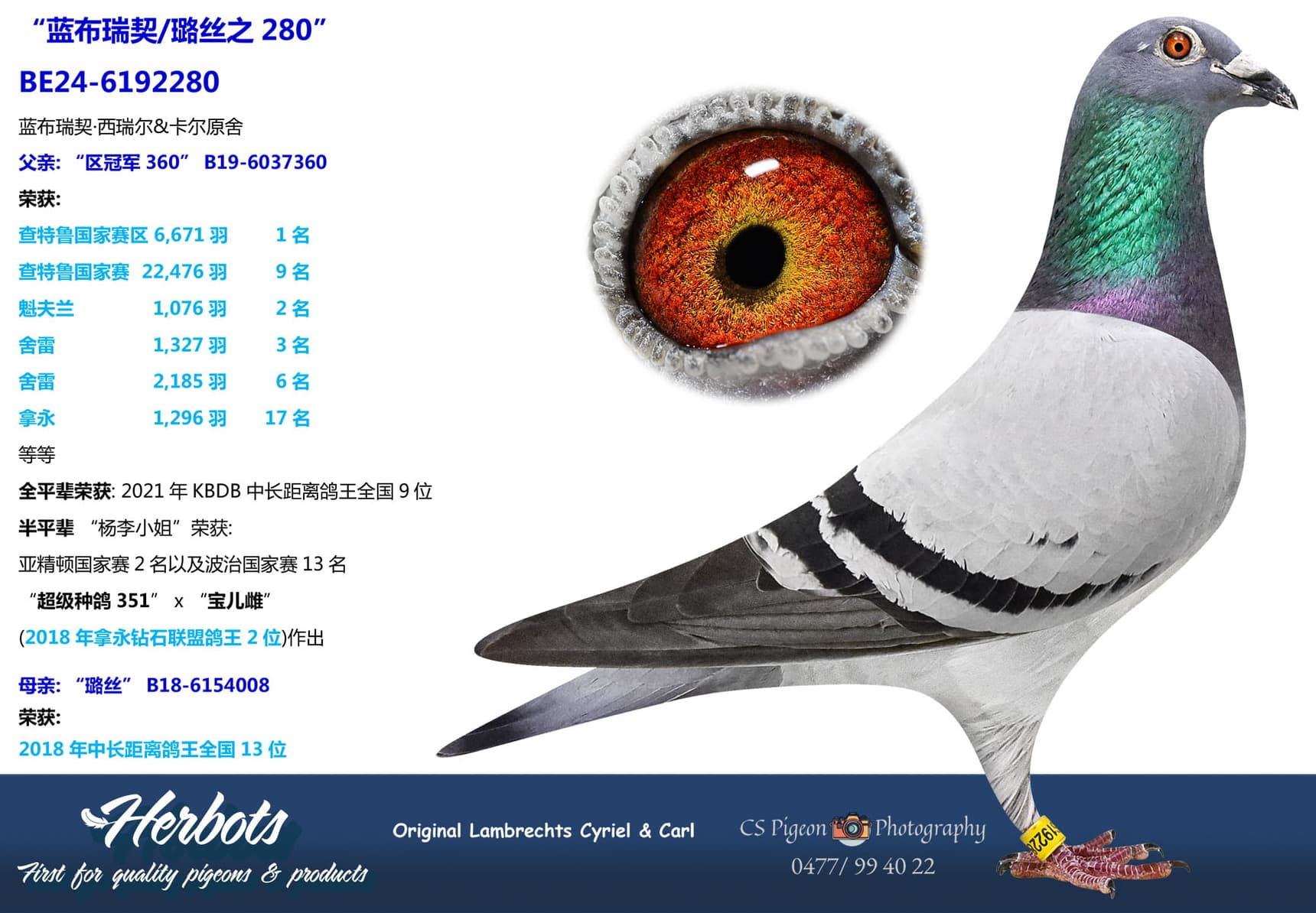 pigeon: undefined