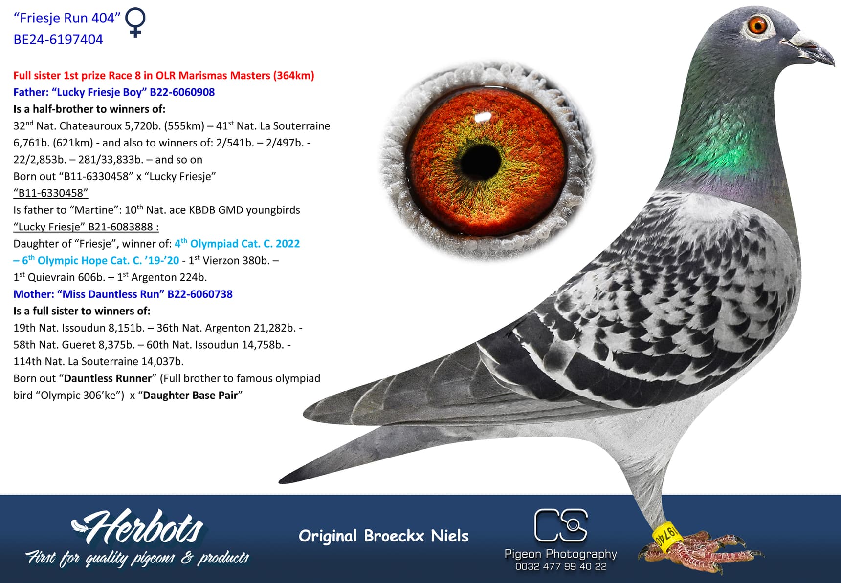 pigeon: undefined