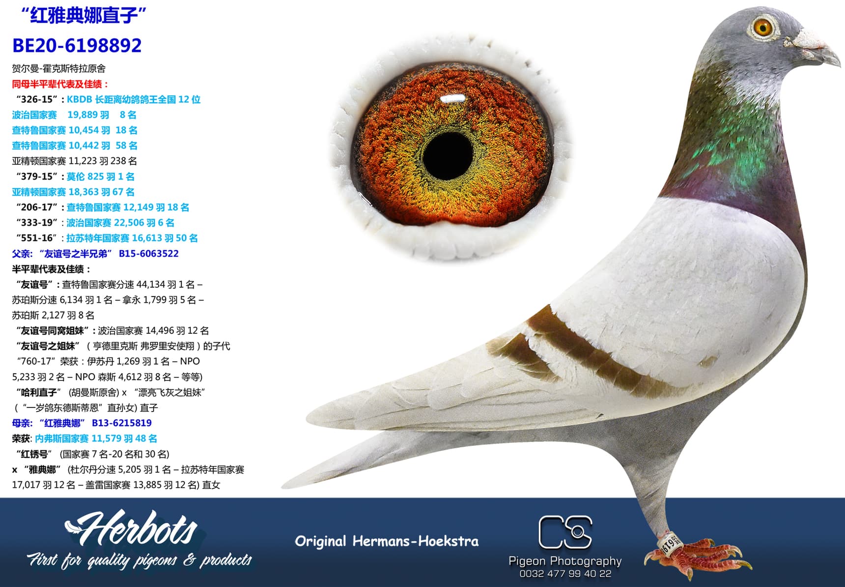pigeon: undefined