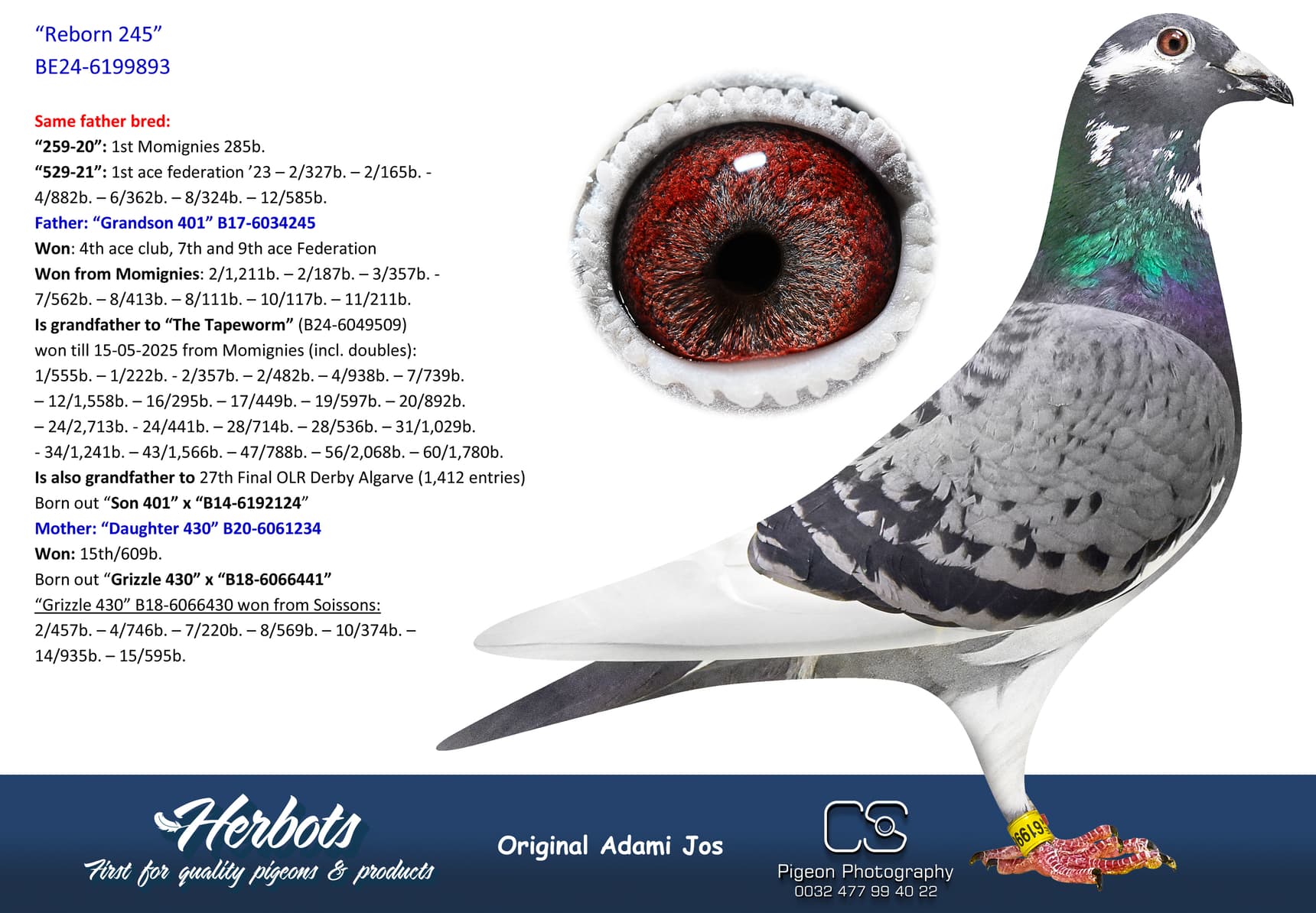 pigeon: undefined