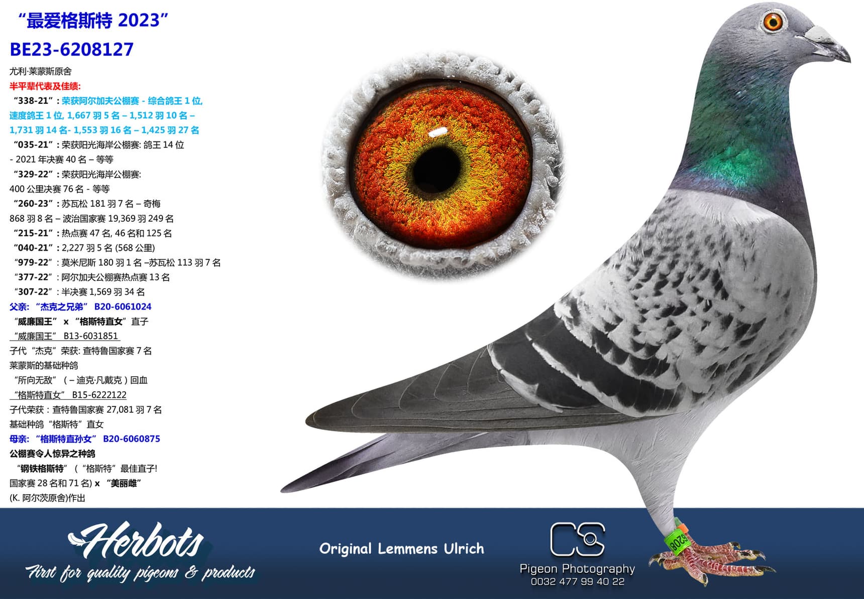 pigeon: undefined