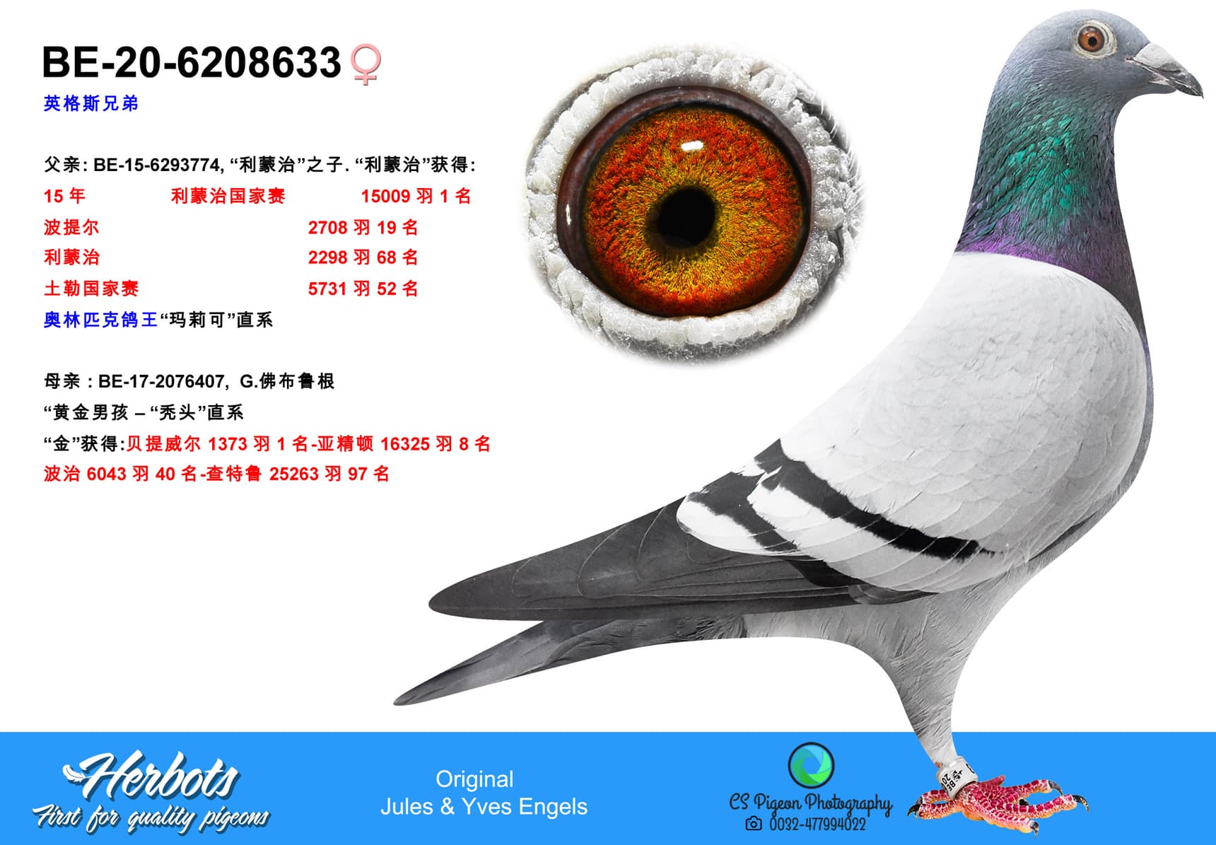 pigeon: undefined