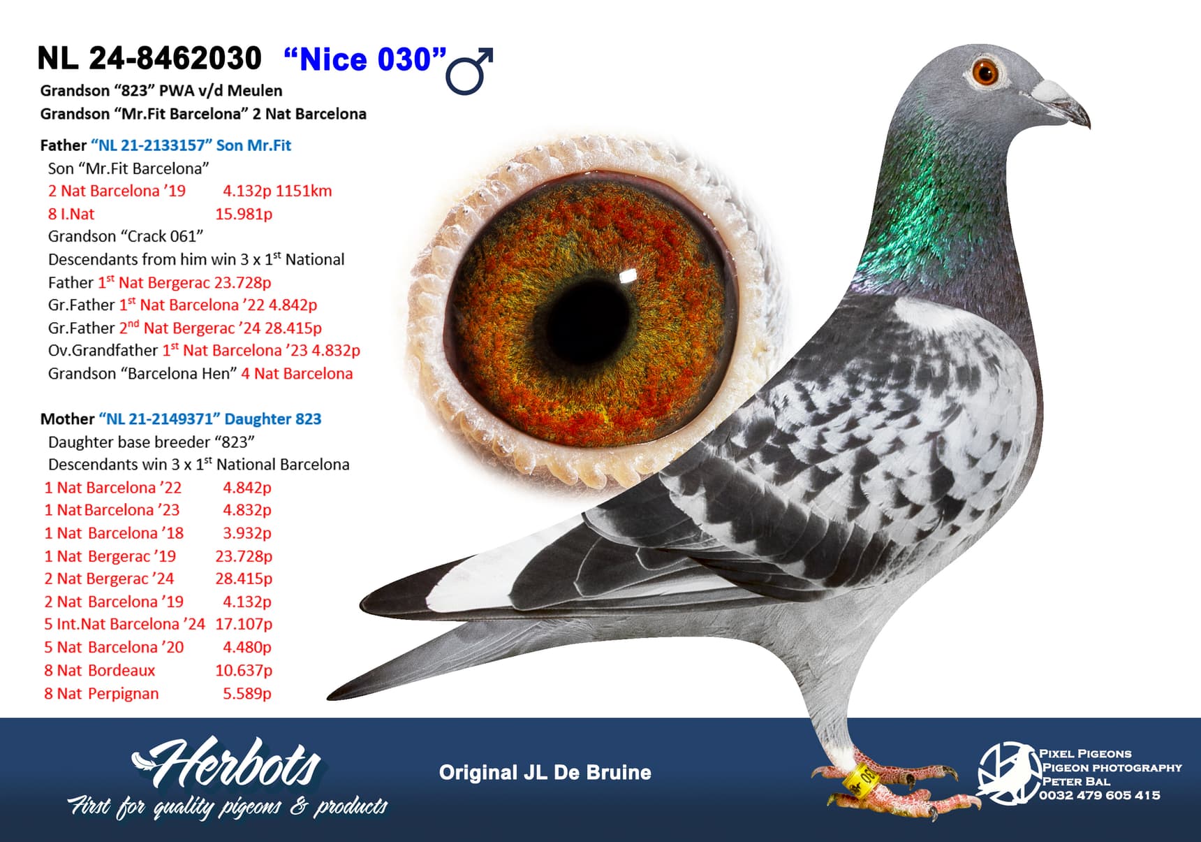 pigeon: undefined