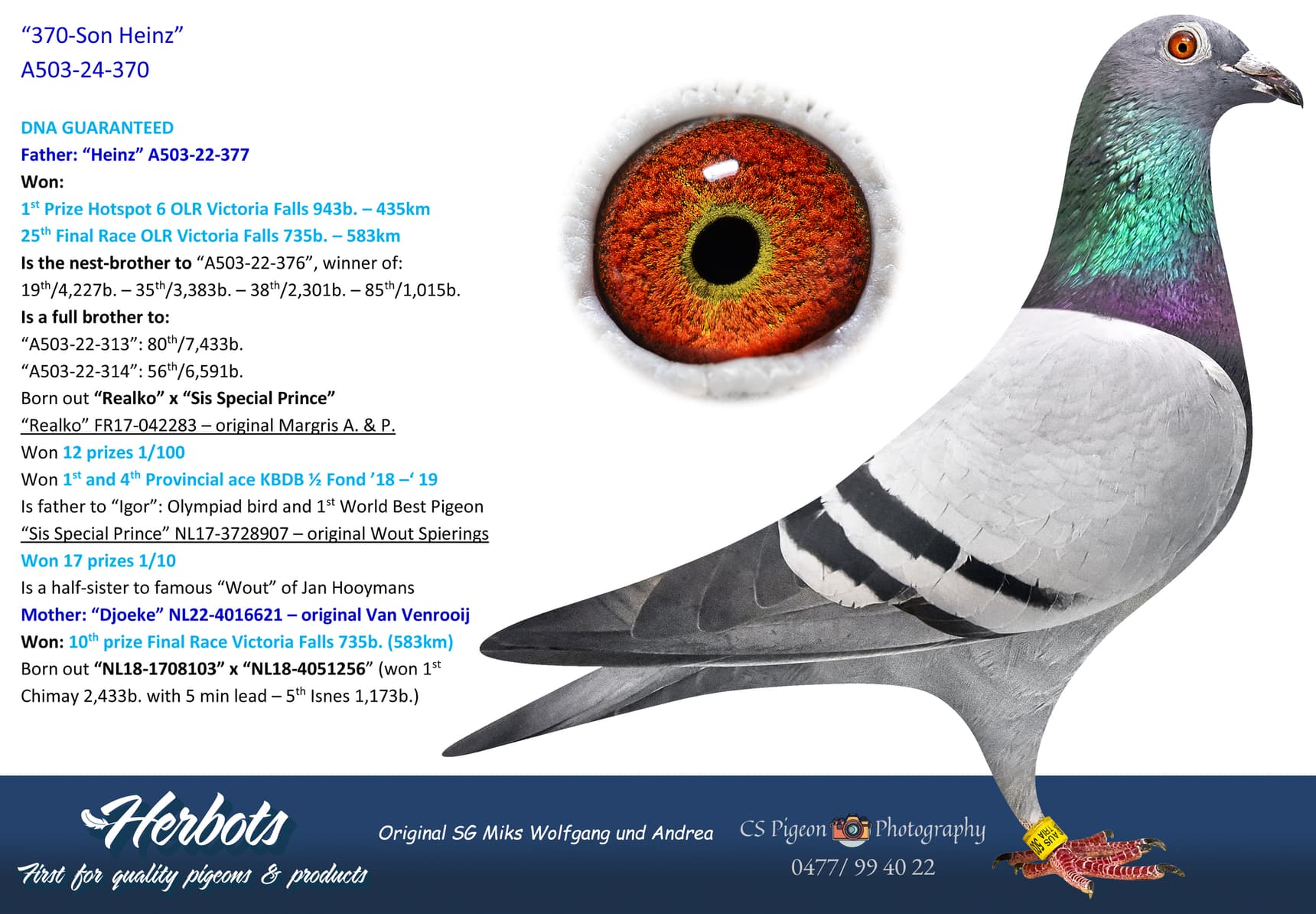 pigeon: undefined