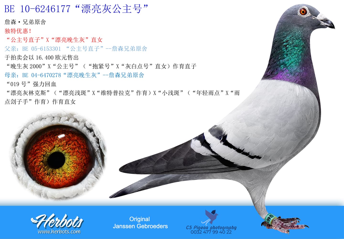 pigeon: undefined