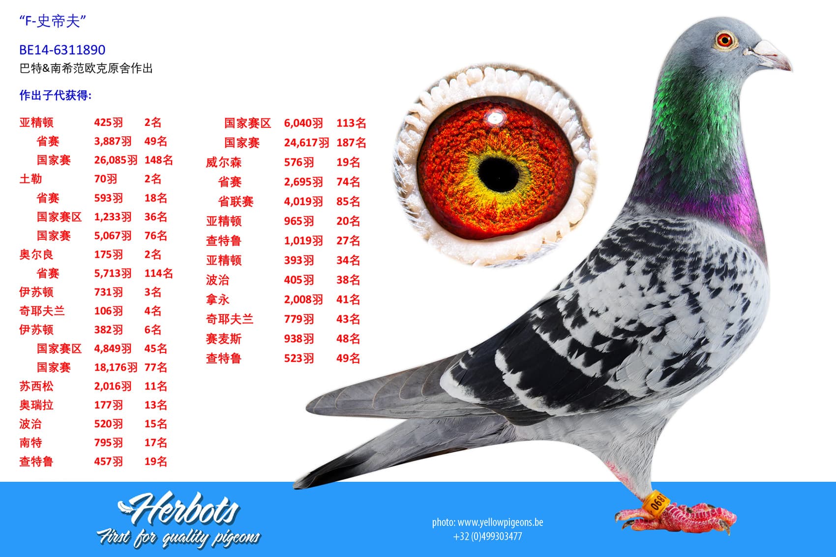 pigeon: undefined