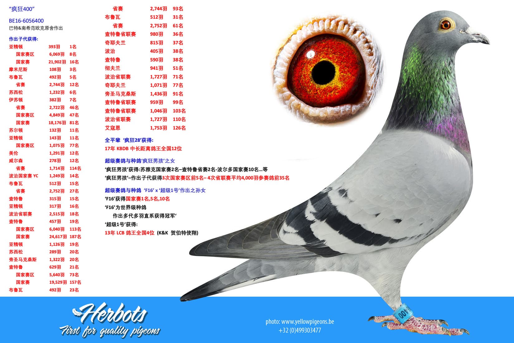 pigeon: undefined