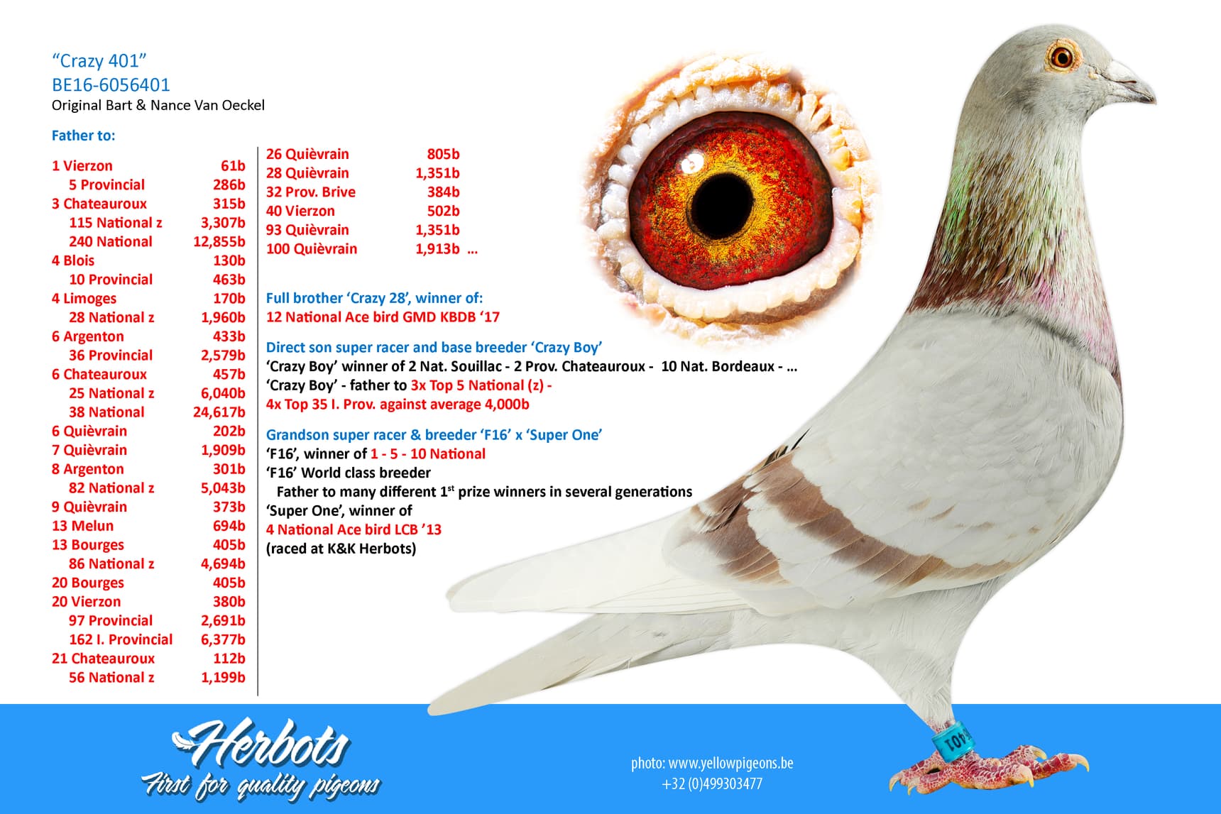 pigeon: undefined