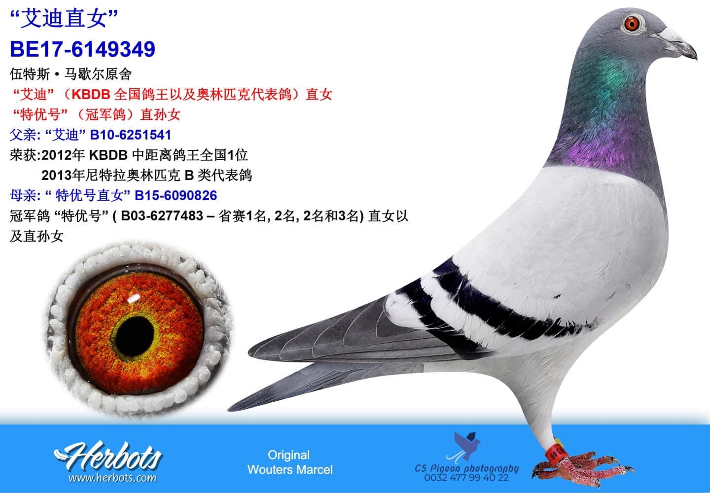 pigeon: undefined