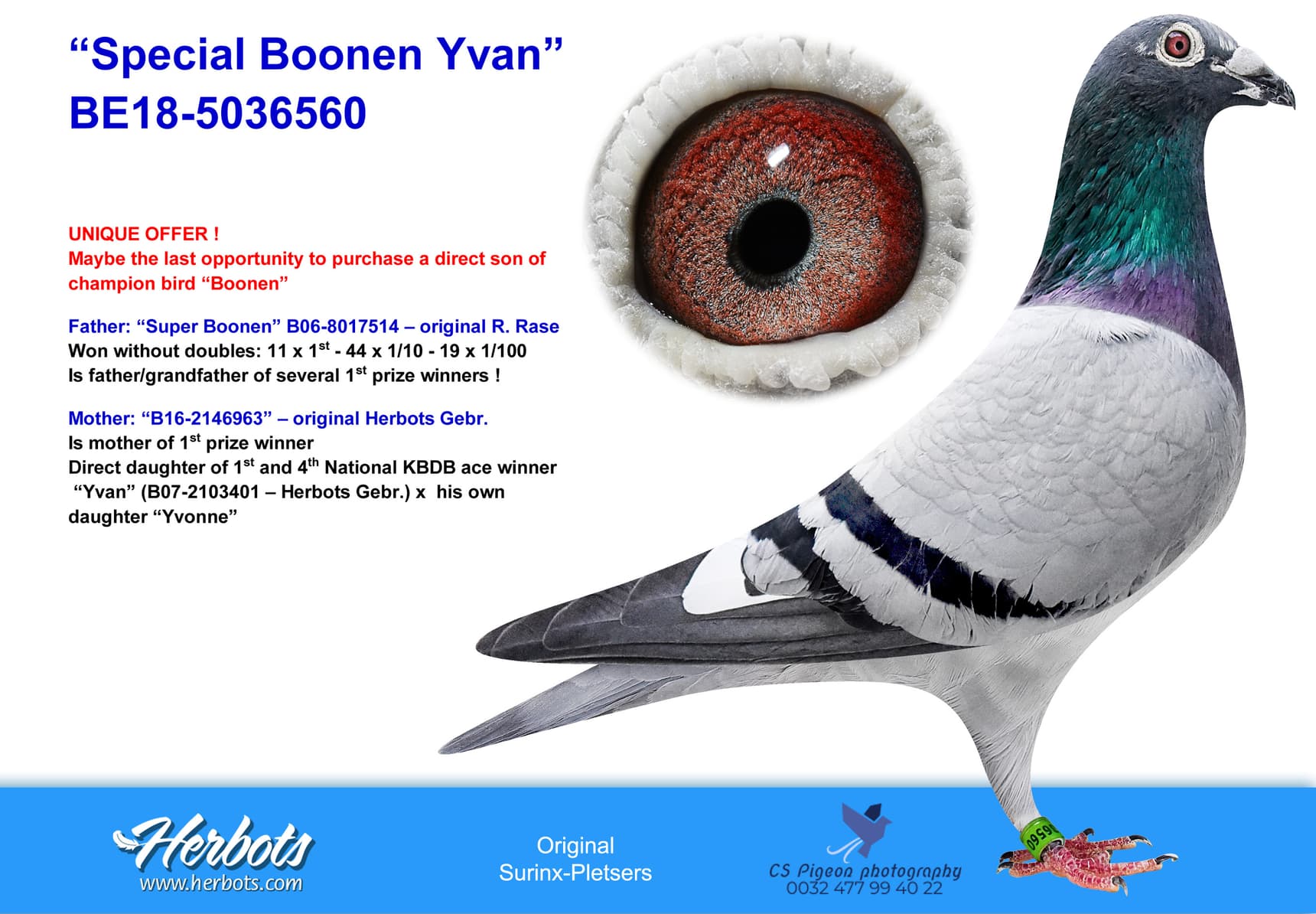 pigeon: undefined