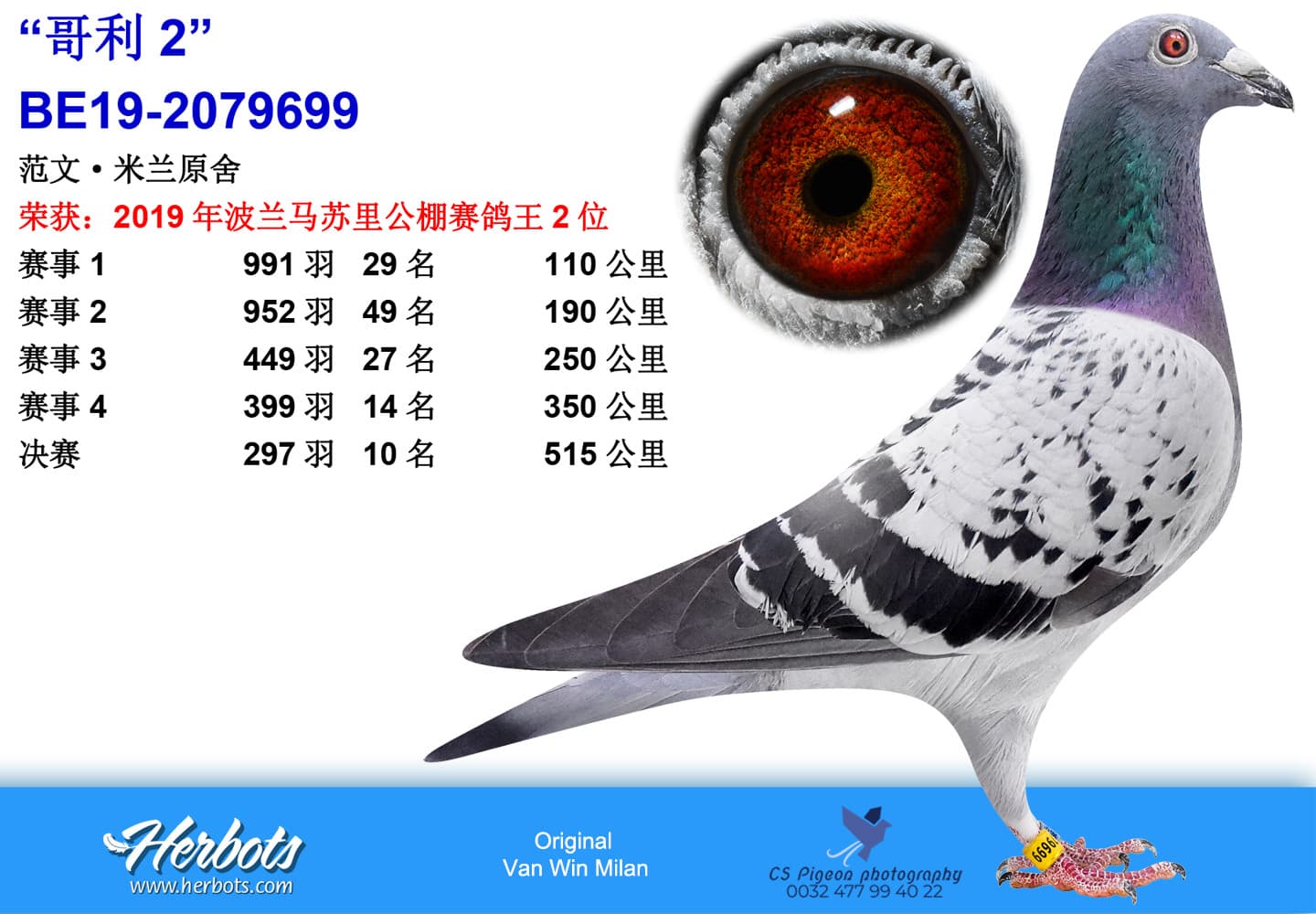 pigeon: undefined