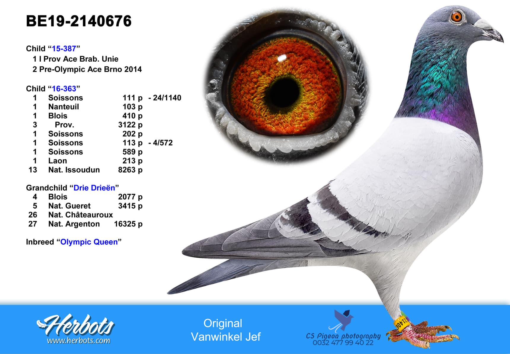 pigeon: undefined