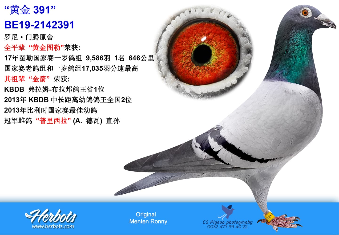 pigeon: undefined