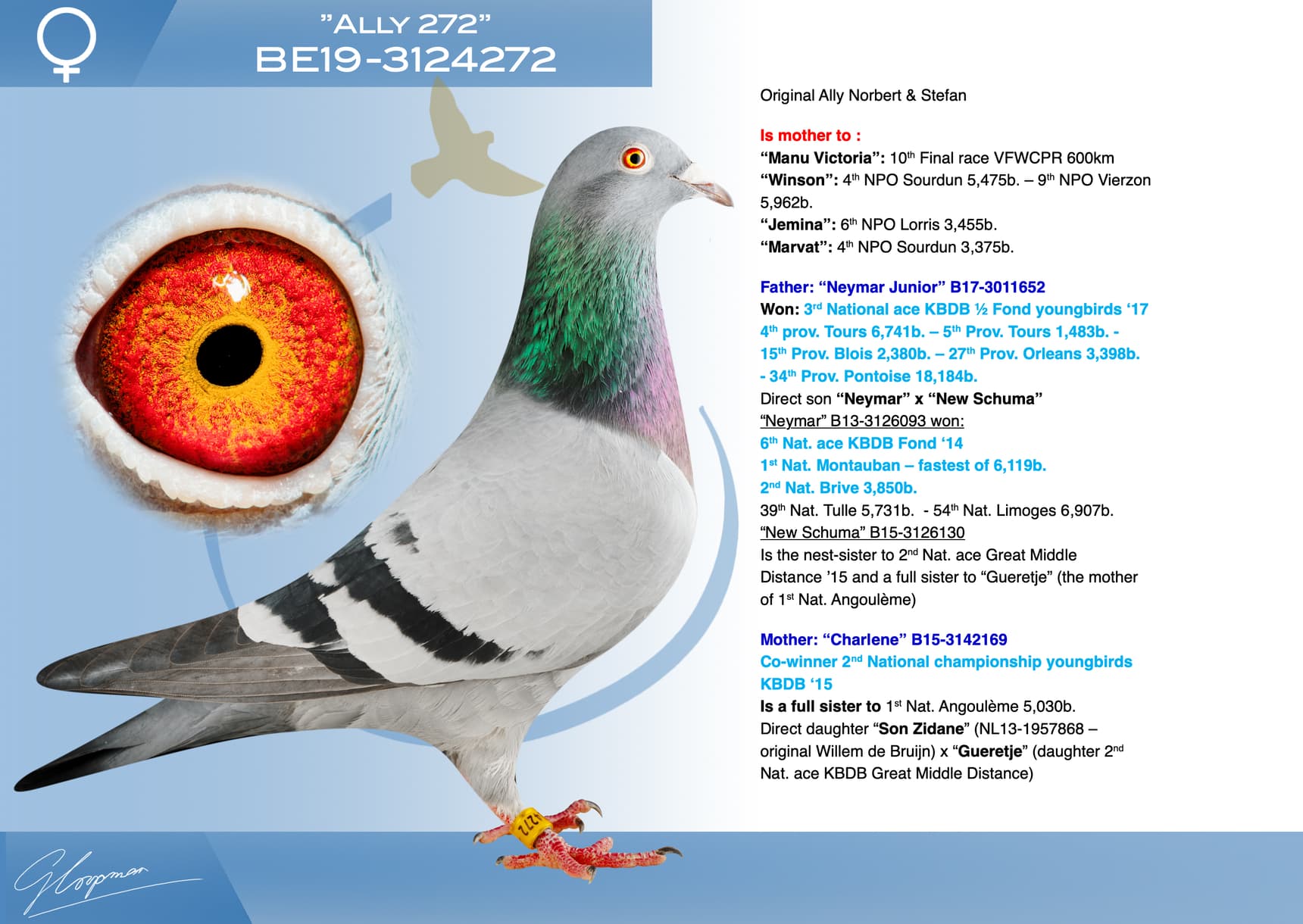 pigeon: undefined