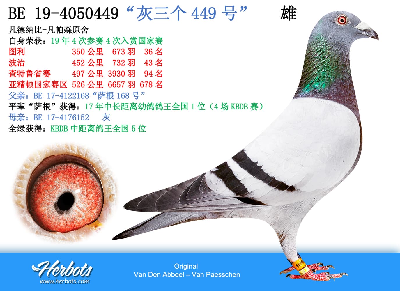 pigeon: undefined