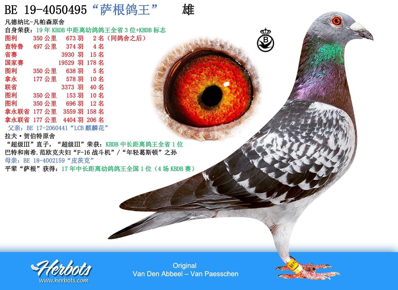 pigeon: “萨根鸽王”