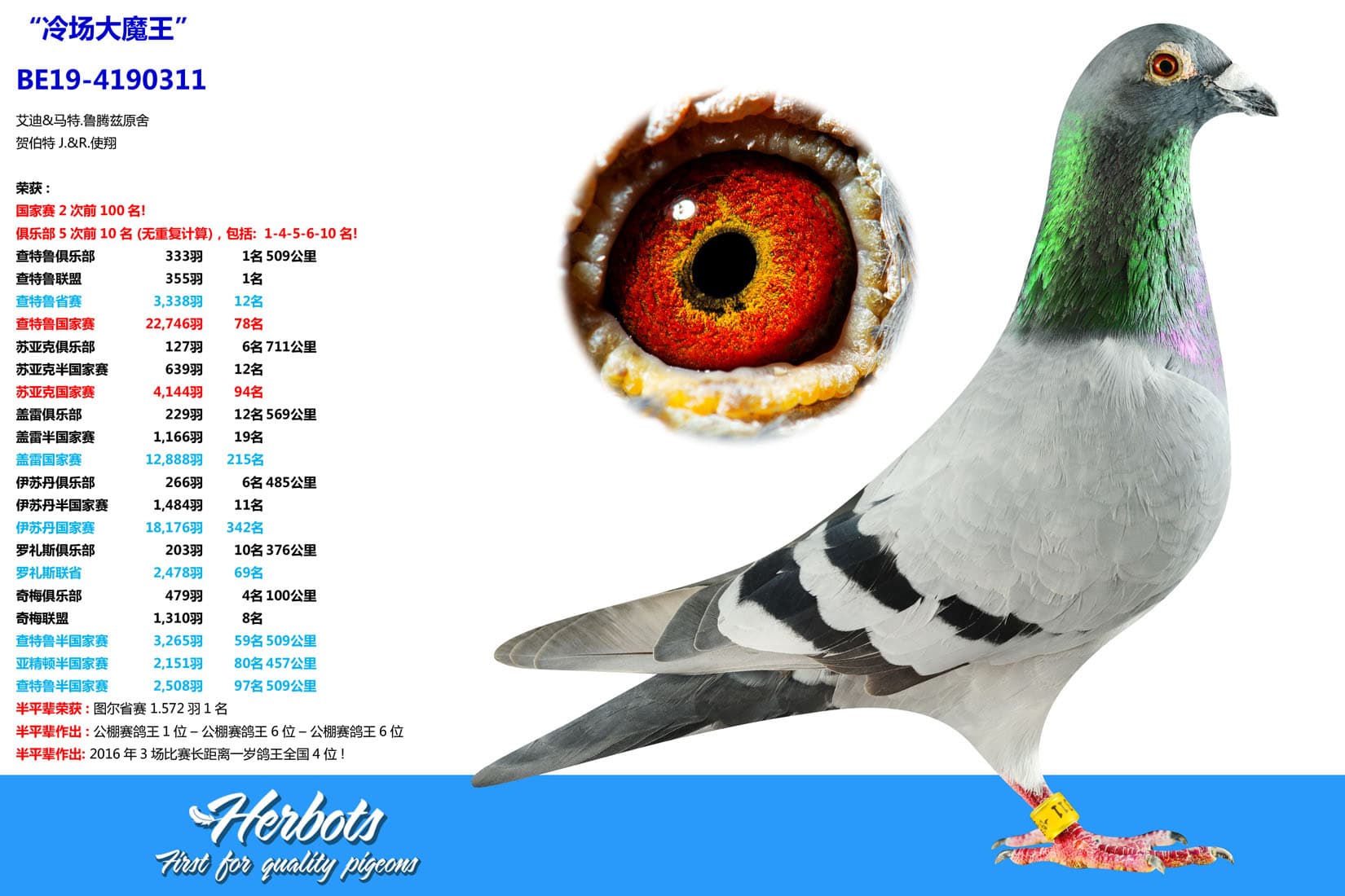 pigeon: undefined