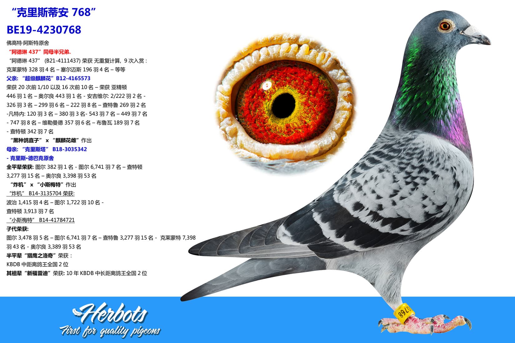 pigeon: undefined
