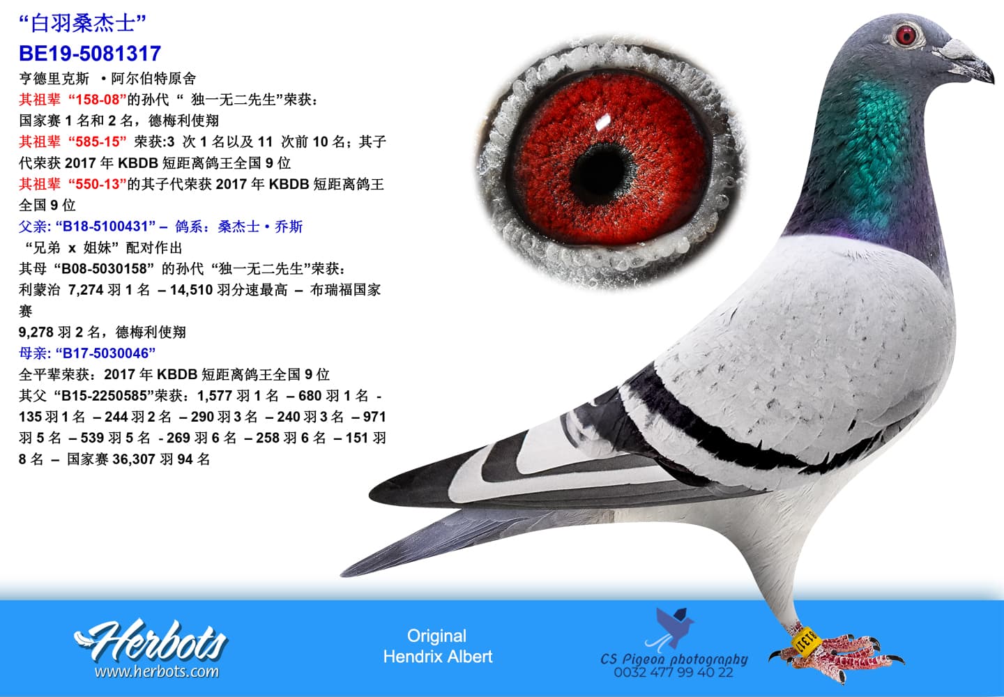 pigeon: undefined