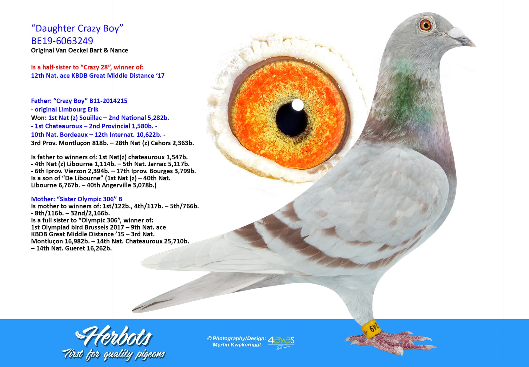 pigeon: undefined