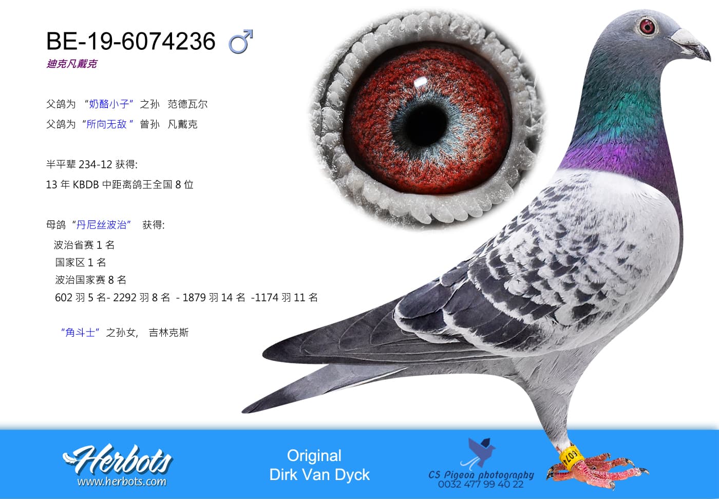 pigeon: undefined