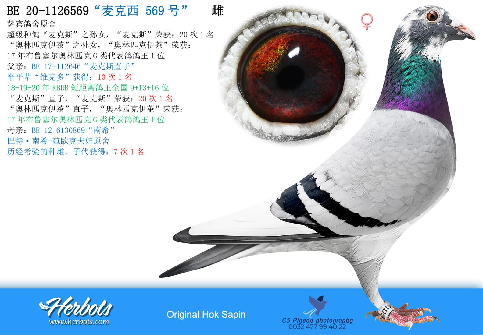 pigeon: undefined