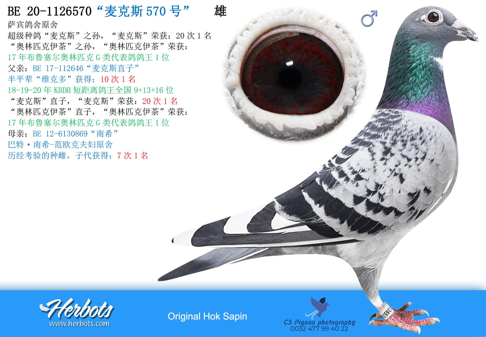 pigeon: undefined