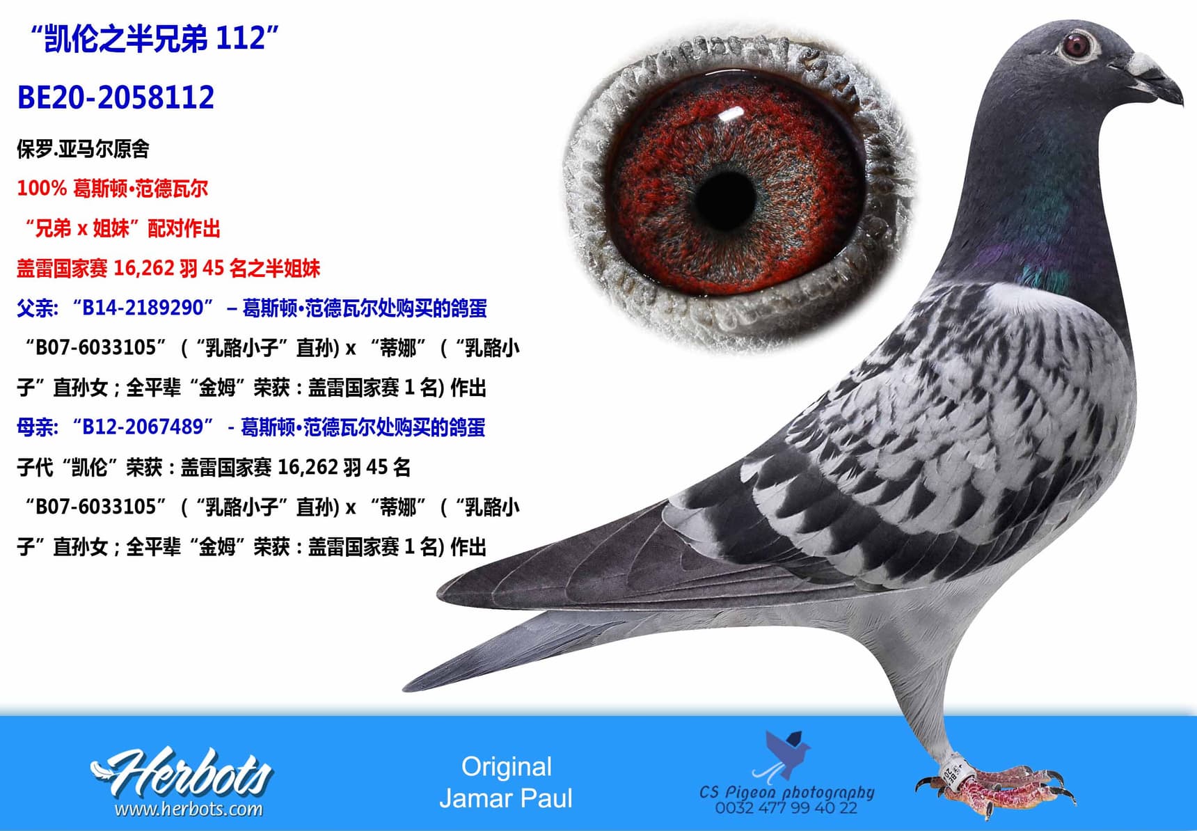 pigeon: “凯伦之半兄弟112”