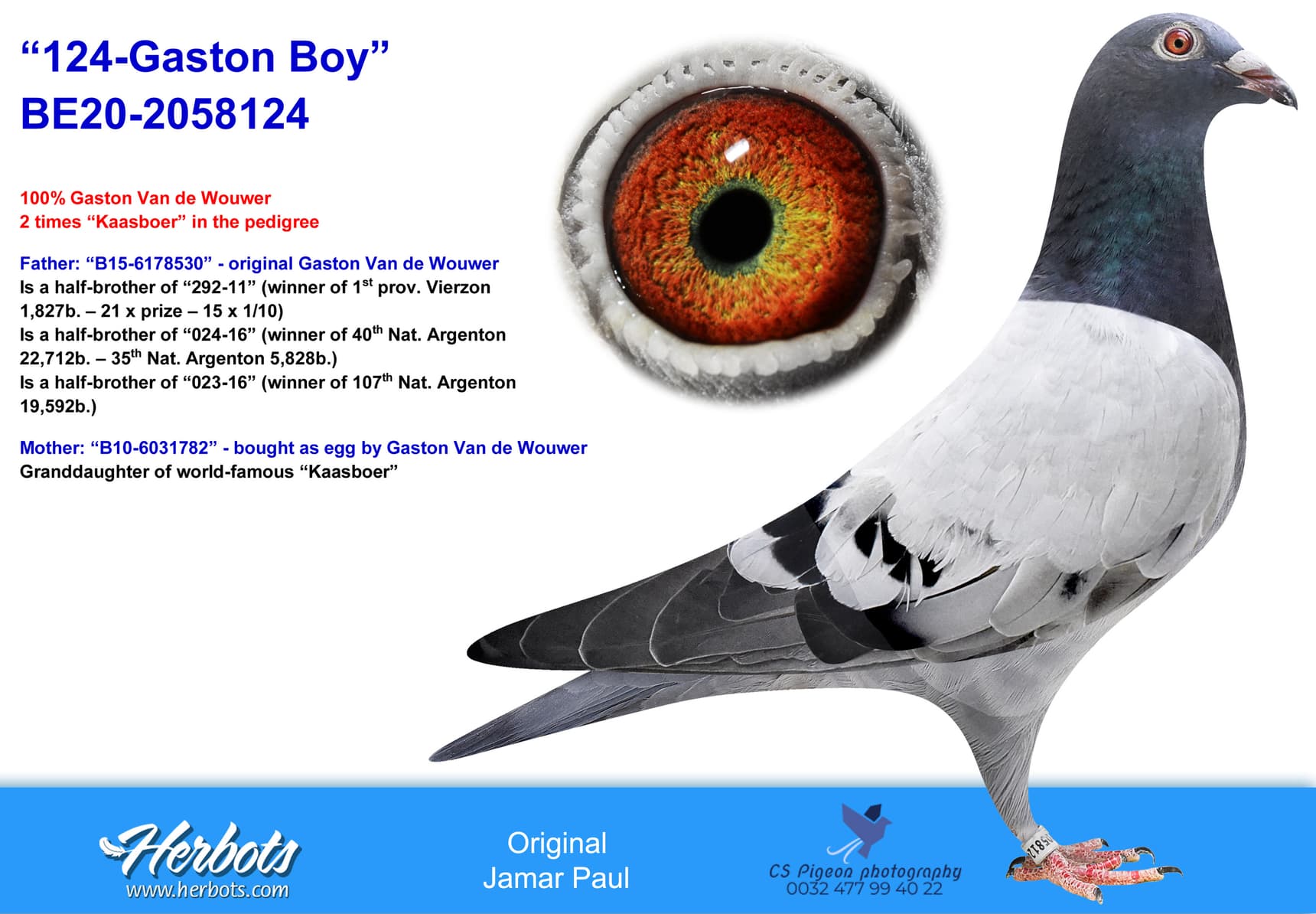 pigeon: undefined