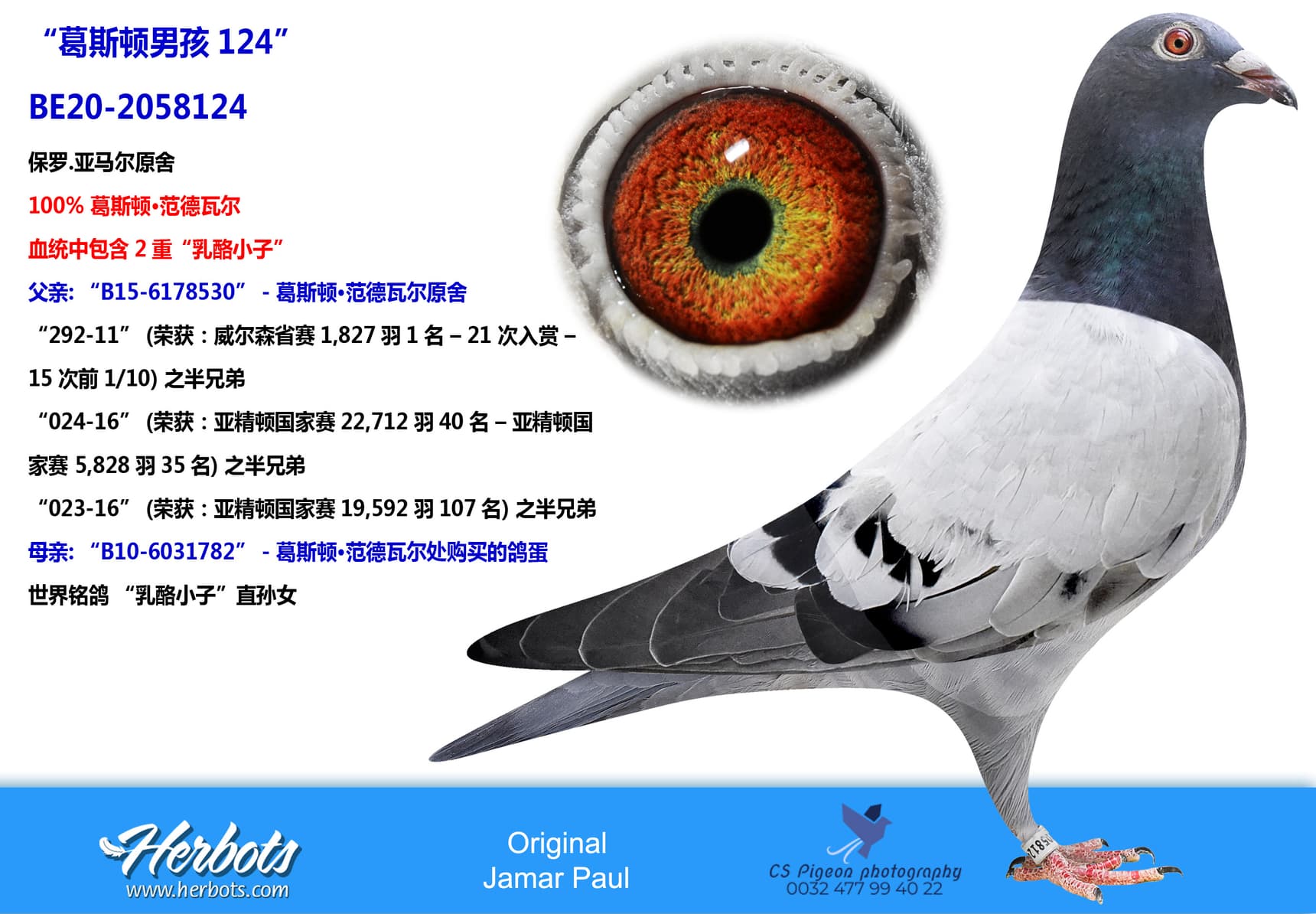 pigeon: “葛斯顿男孩124”