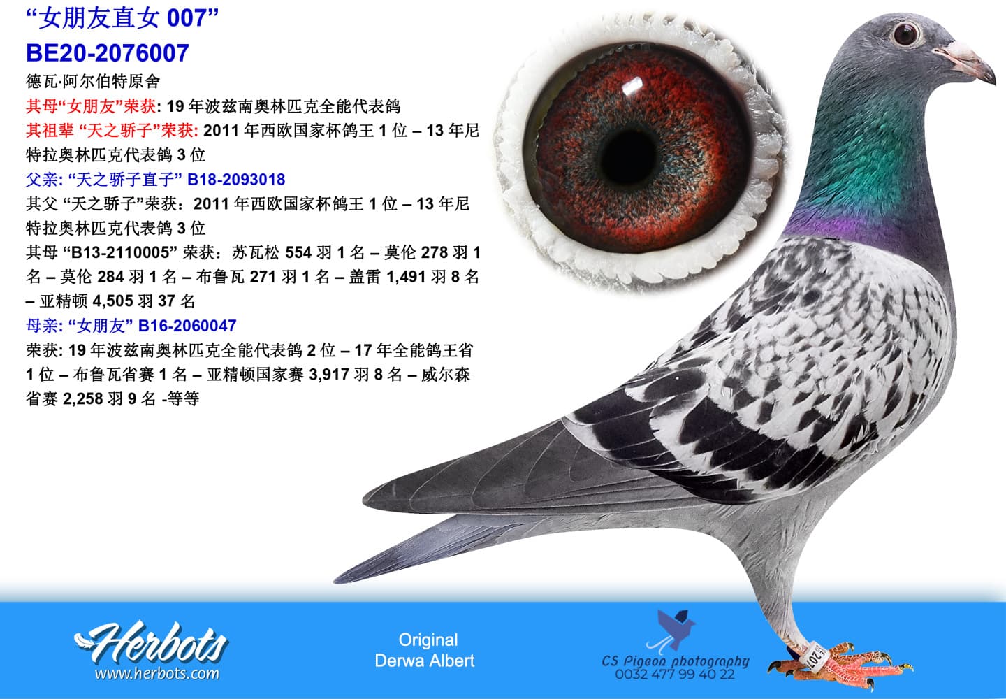 pigeon: undefined