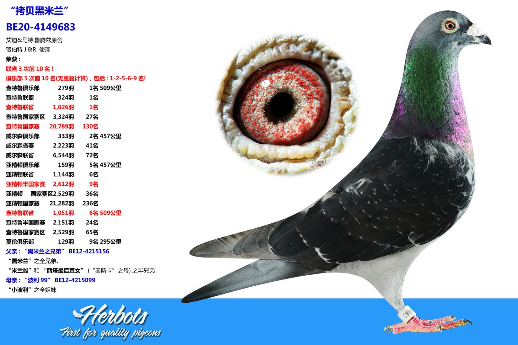 pigeon: undefined