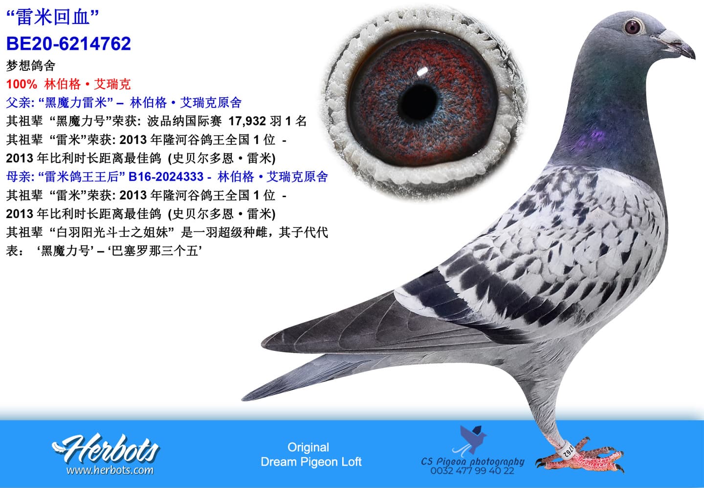 pigeon: undefined