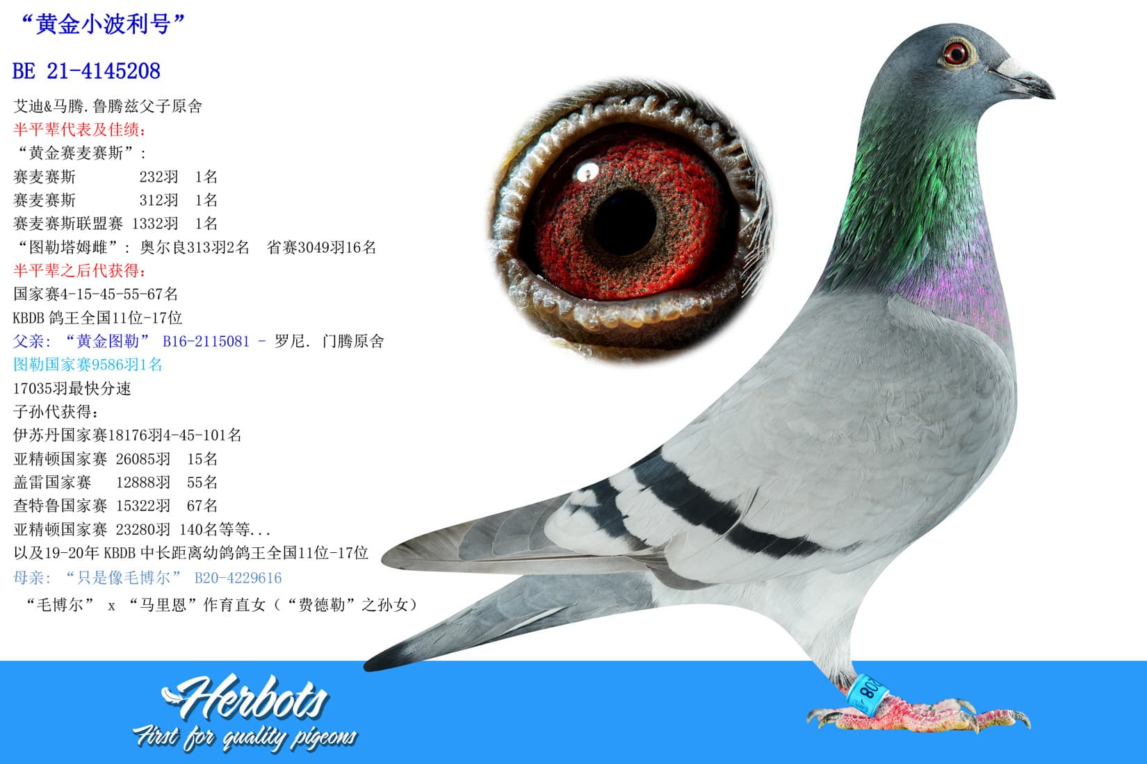 pigeon: undefined