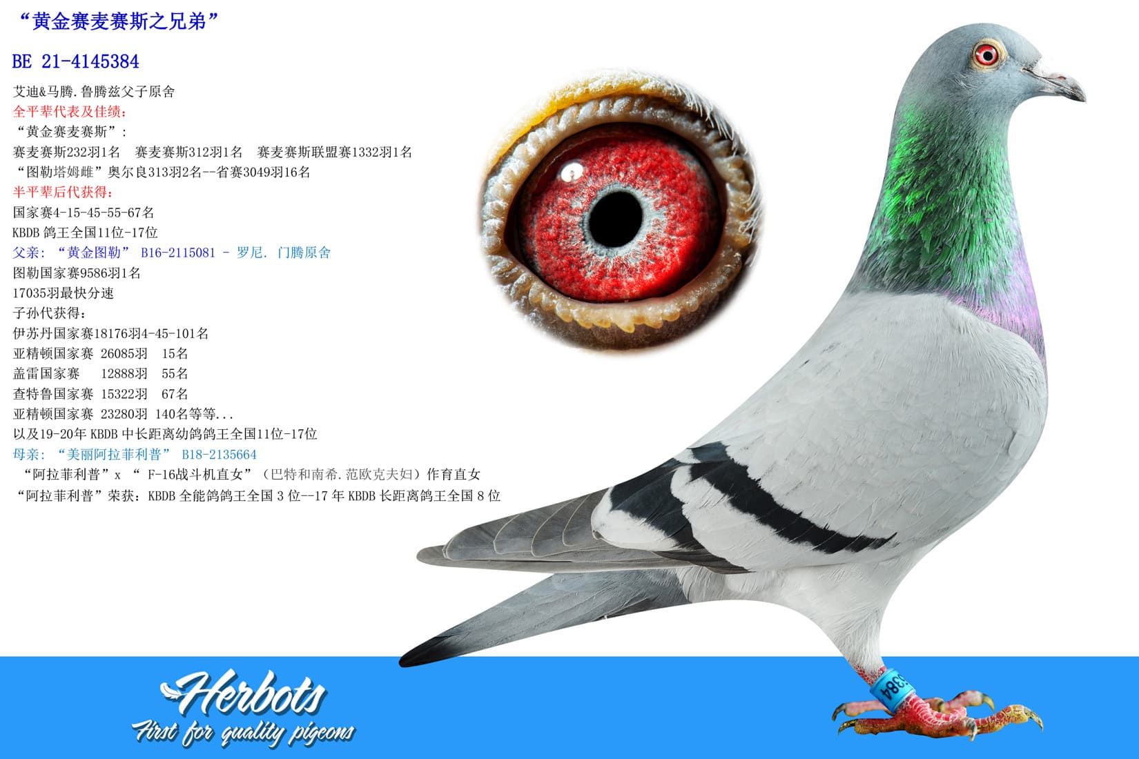 pigeon: undefined