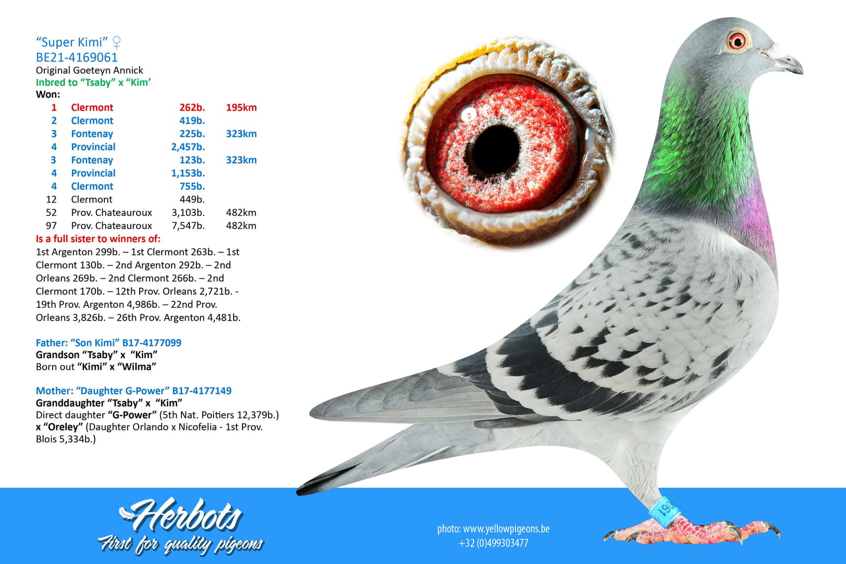 pigeon: undefined