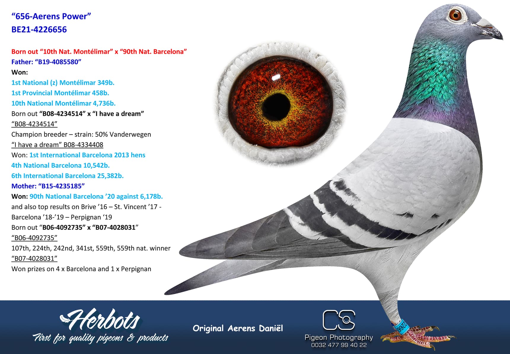 pigeon: undefined