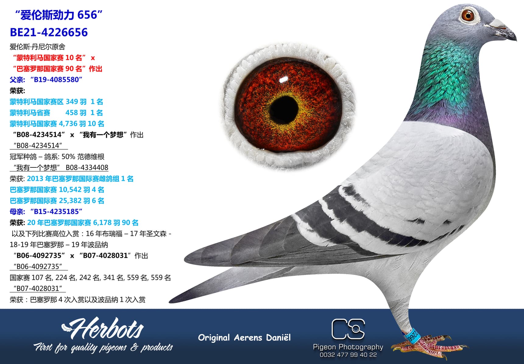 pigeon: “爱伦斯劲力656”