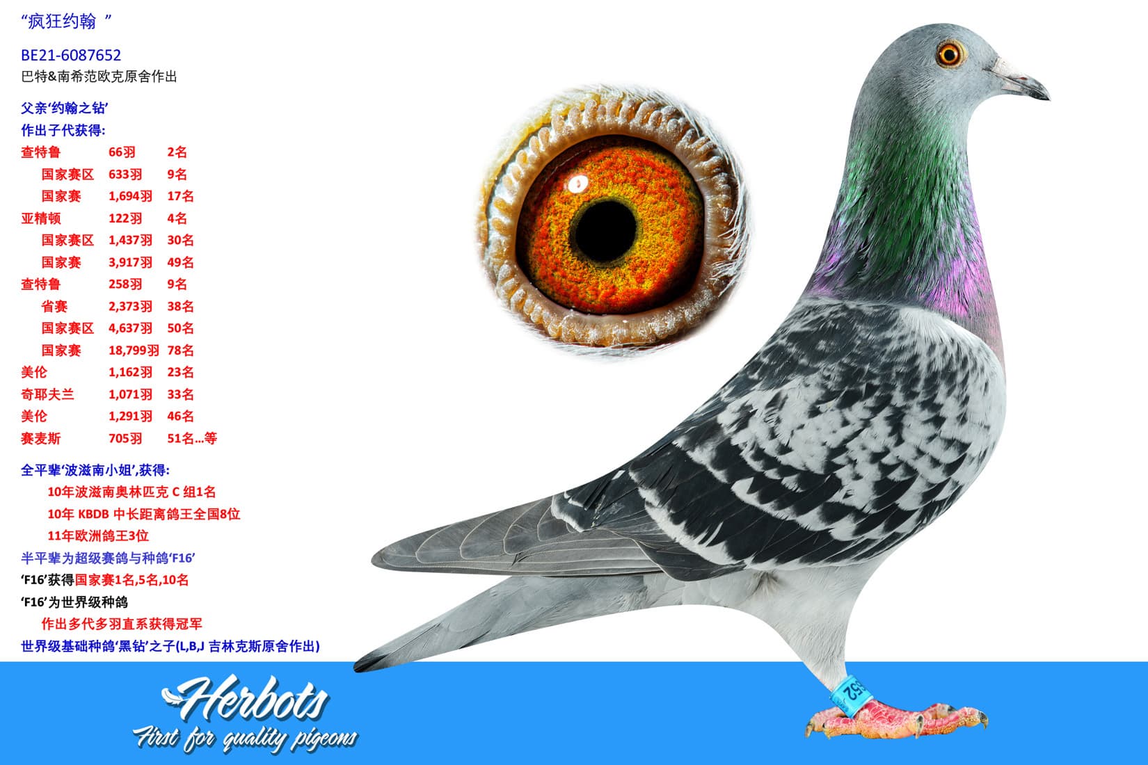 pigeon: undefined