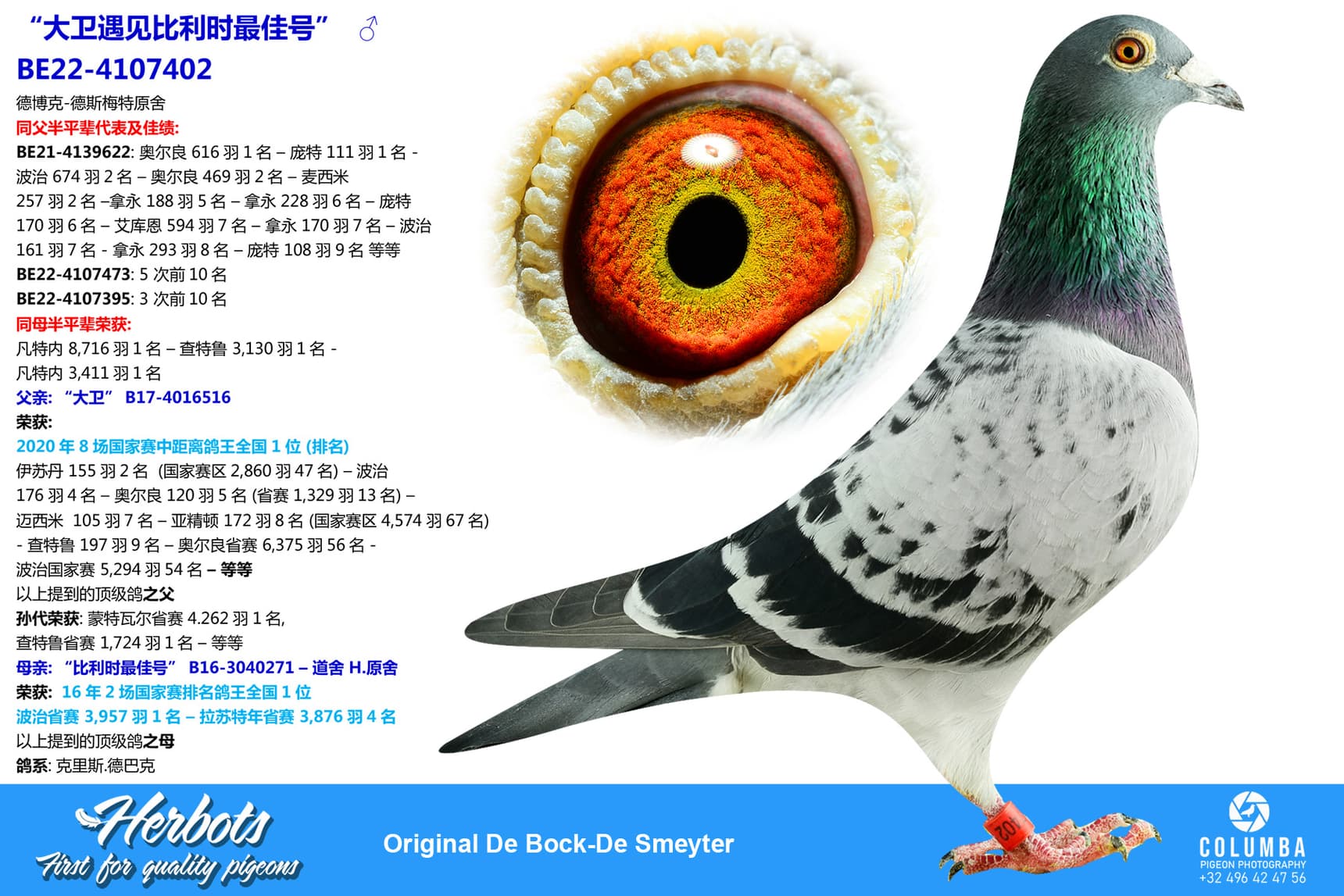 pigeon: undefined