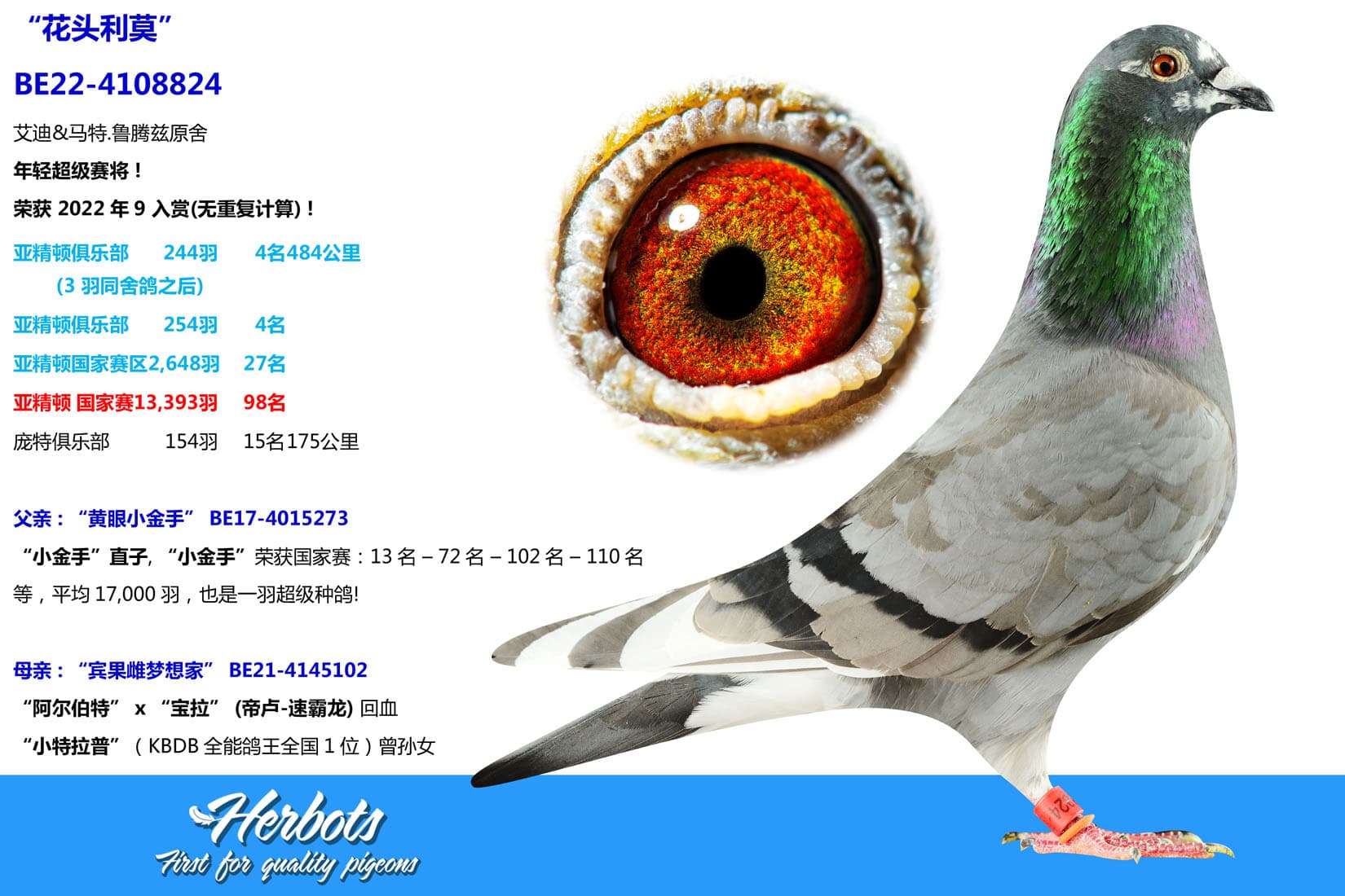 pigeon: undefined