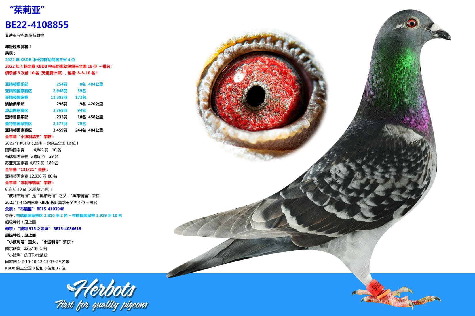 pigeon: undefined