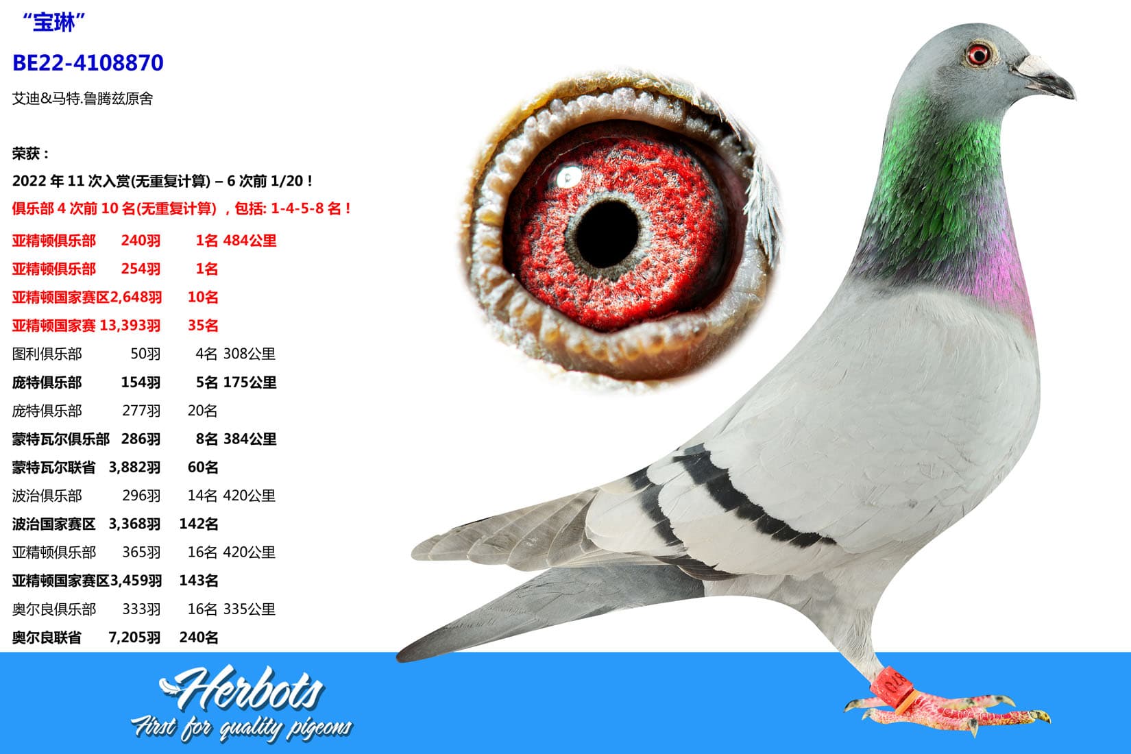 pigeon: undefined