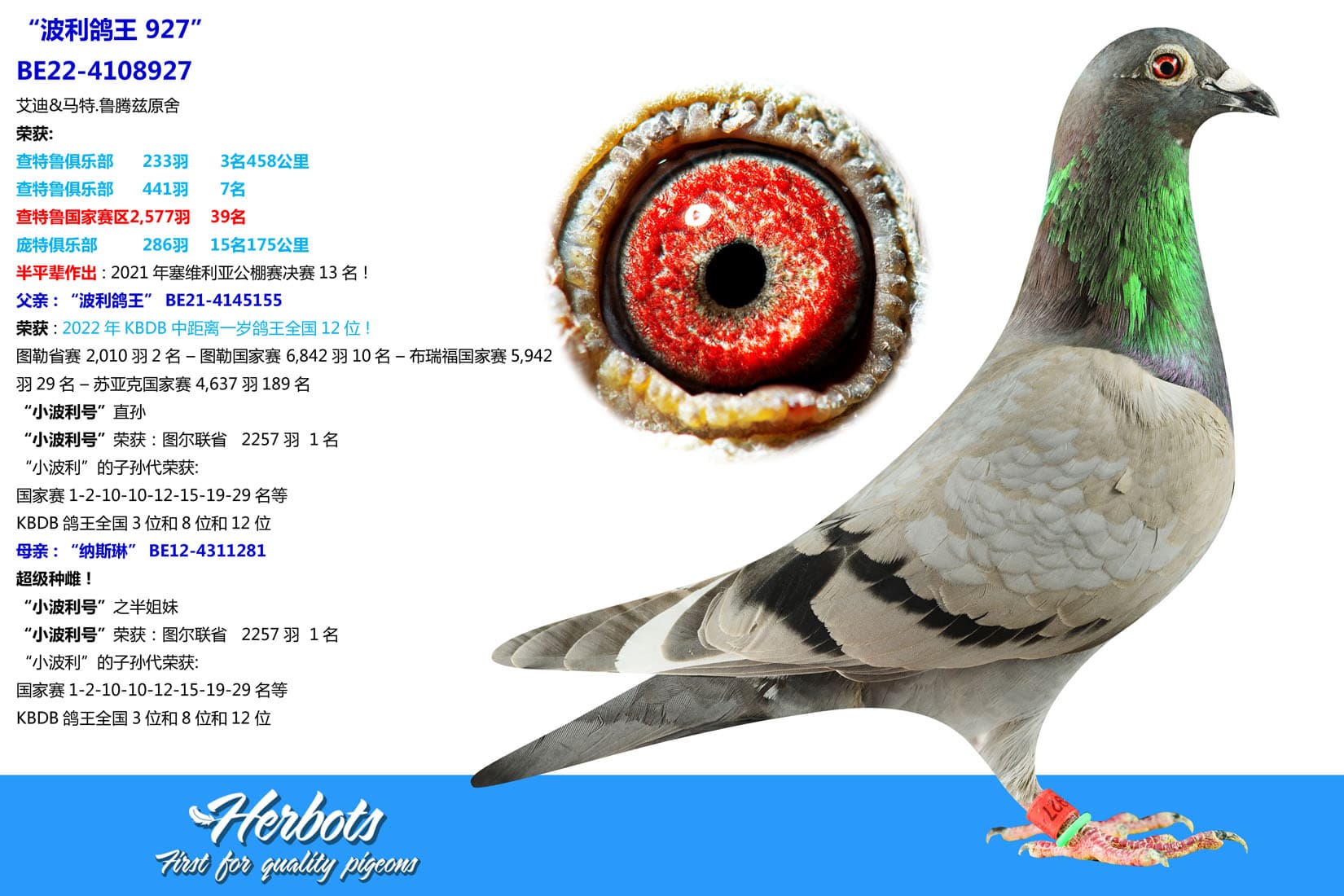 pigeon: undefined