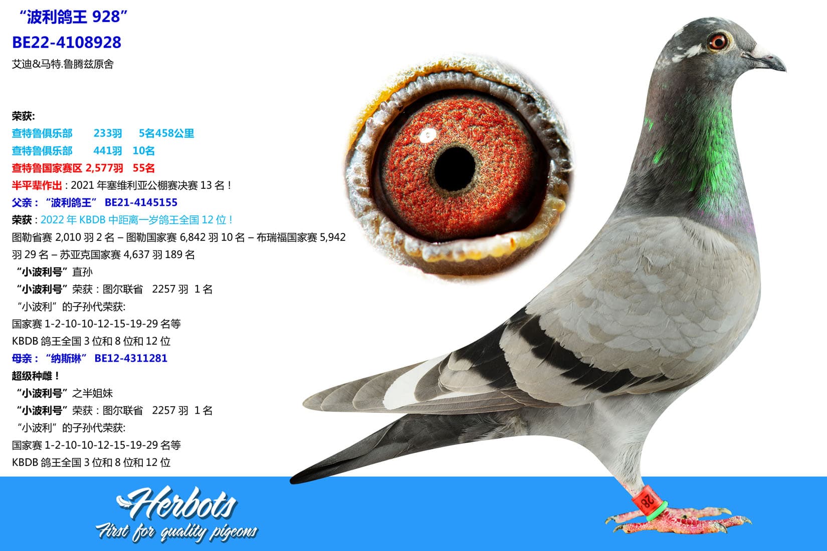 pigeon: undefined