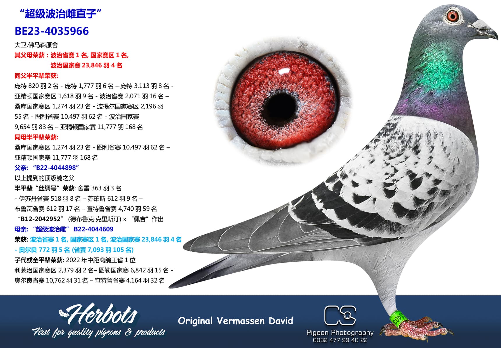 pigeon: undefined