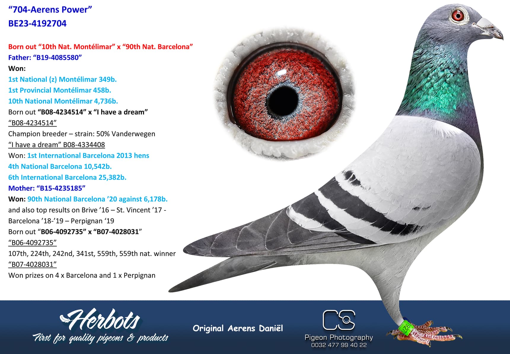 pigeon: undefined