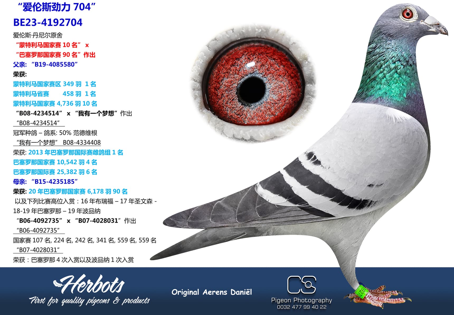 pigeon: “爱伦斯劲力704”