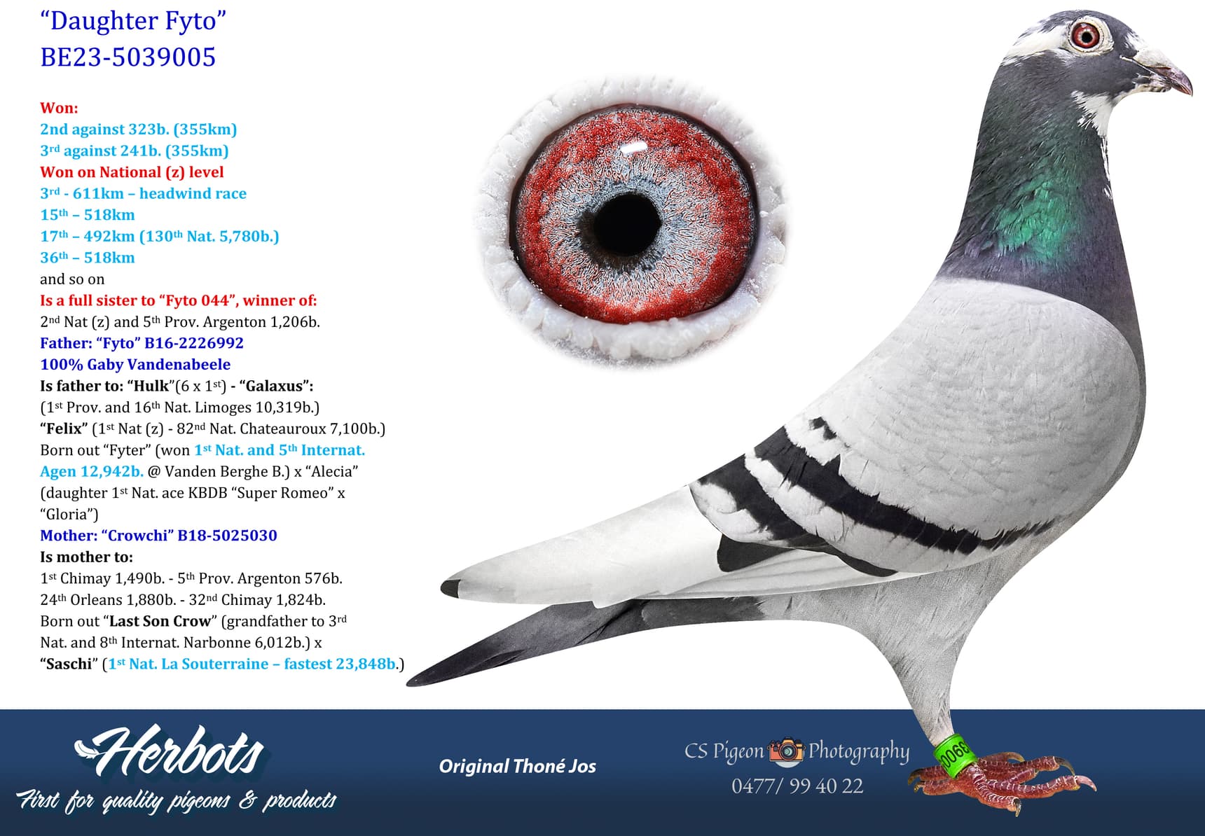 pigeon: undefined